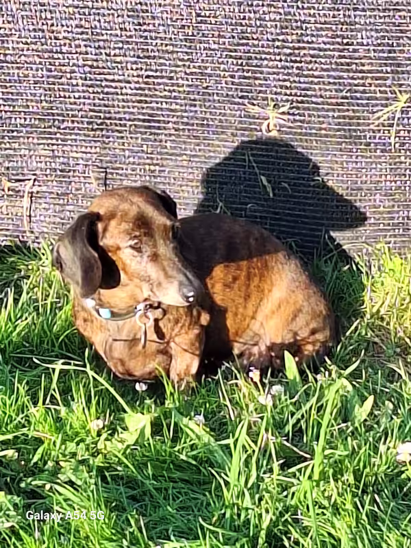 [Image: 20240916-185416.avif]