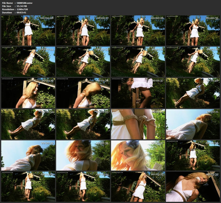 588B588.wmv