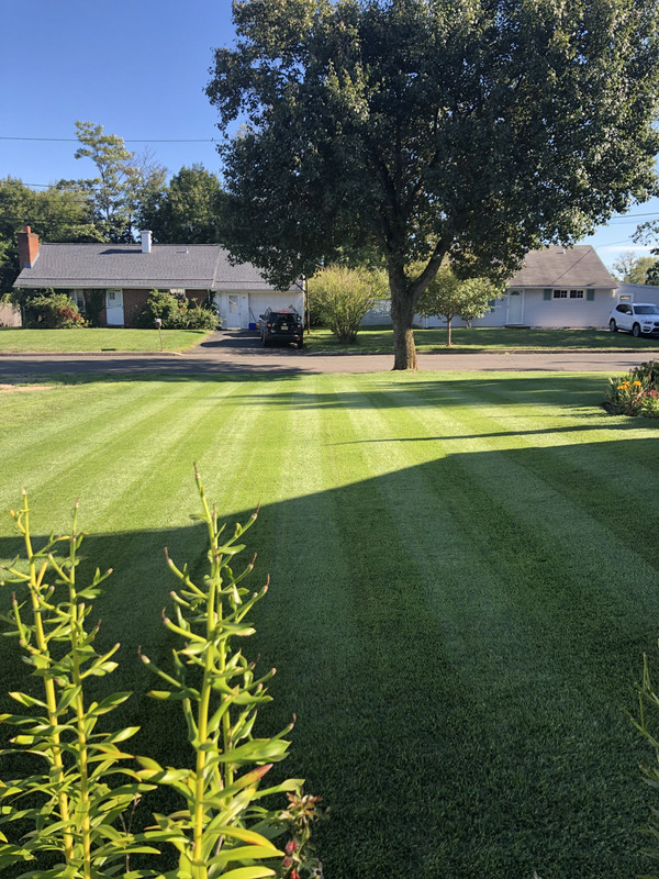 4D40E06A-437A-421D-8950-4017E761C0E4