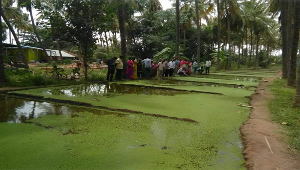 Organic Growers Practicals