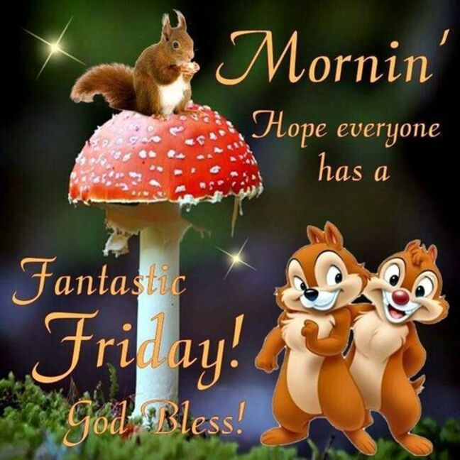 An den Beitrag angehängtes Bild: https://i.postimg.cc/15yFxfRx/oie-2984170-Ajcnk-S1.jpg