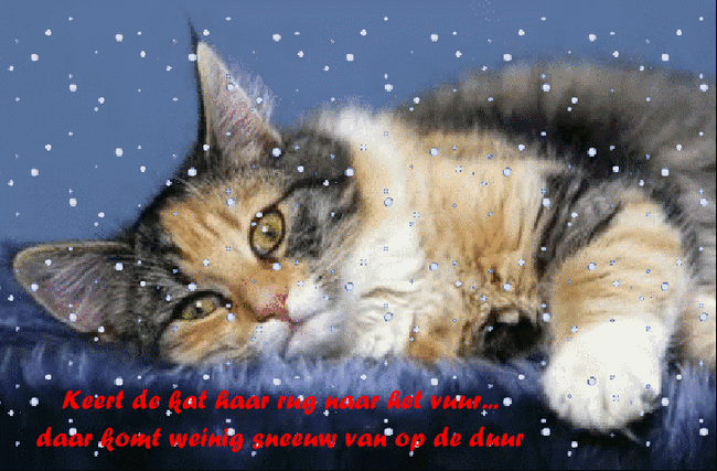 welkom op Bunic Jos