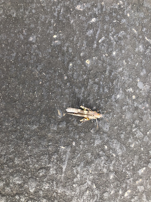 FA31BCF4-AA52-45A9-9333-EFC31E9588C9