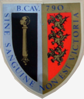 BCav790