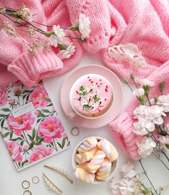 Screenshot_20240112_231109_Instagram