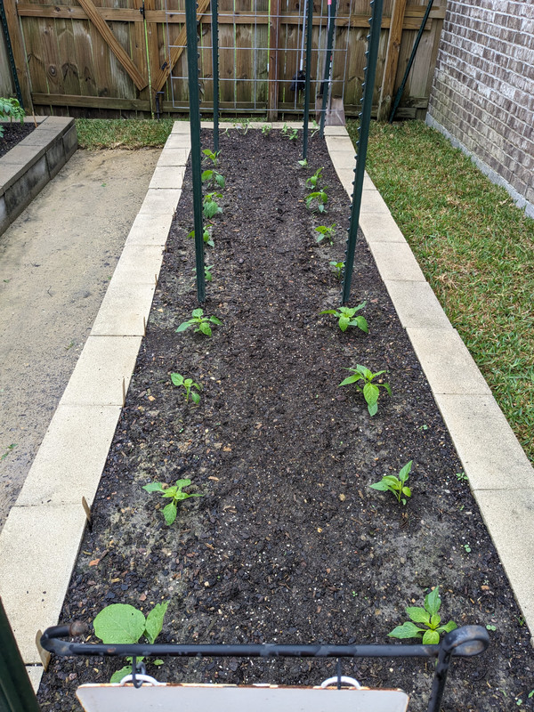 PXL_20240421_135618969