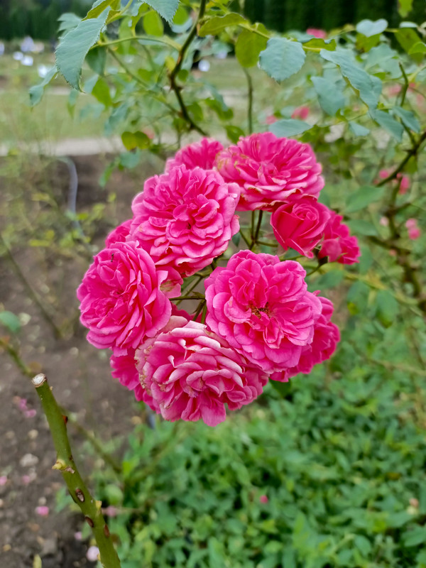 IMG_20240824_132141_041