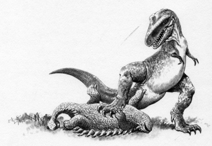 e6979ef2e7c0a799ccb8702c01a595b8