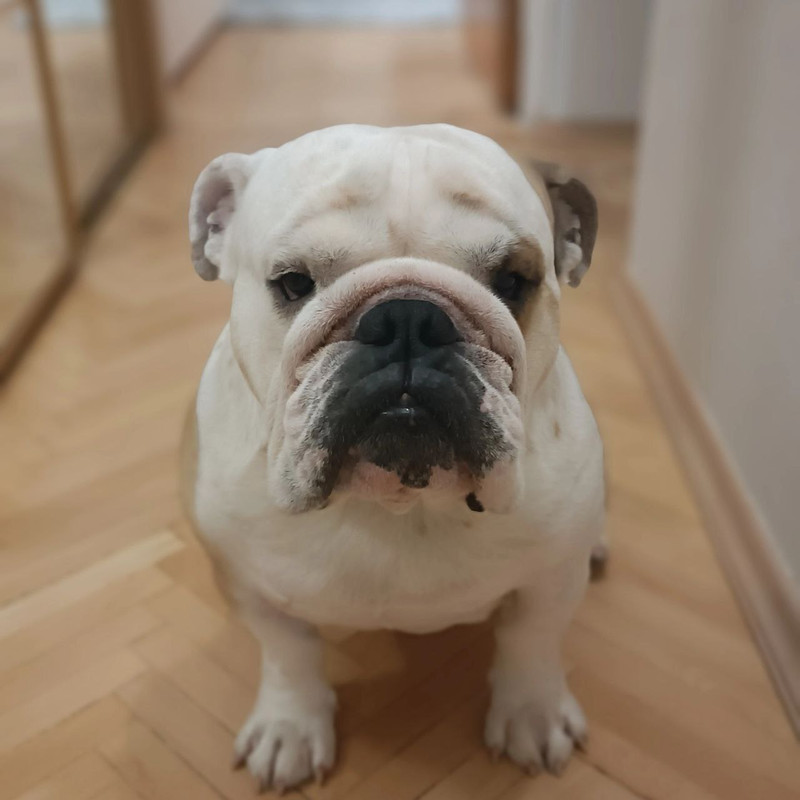 photo_2024-02-02_21-01-21 (2)