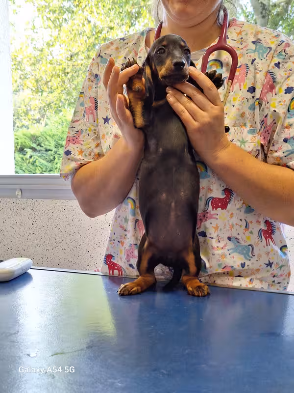 [Image: 20240920-170646.avif]