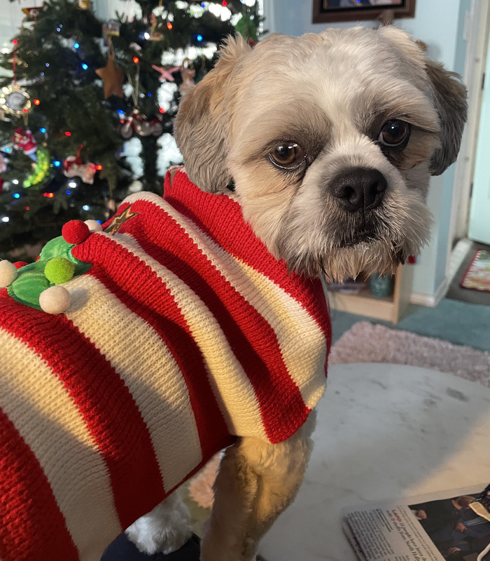 AA1BAAAC-5999-4BC0-BD5F-8B267DCB2926_1_201_a