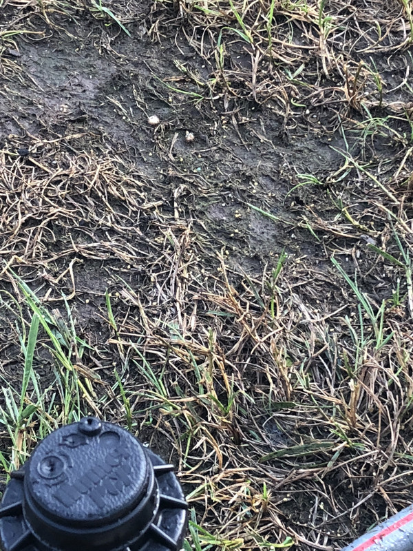 Photo Sep 13, 7 41 50 AM