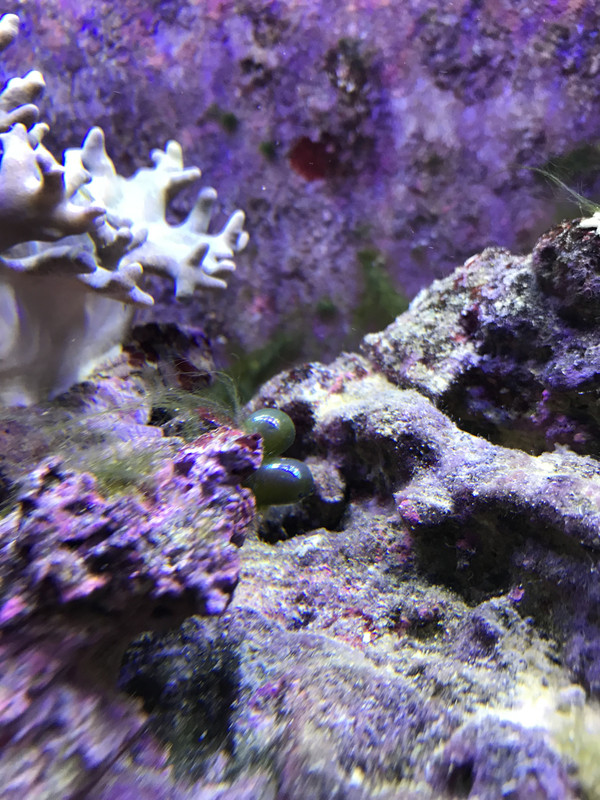 8CAAF875-40D1-4963-85CF-3D6D21B590A4