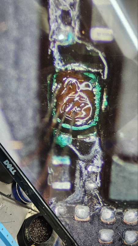 photo 2026 01 23 13 12 57