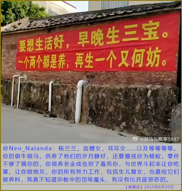 https://i.postimg.cc/15zqL5Jf/20250830-bt-8.jpg