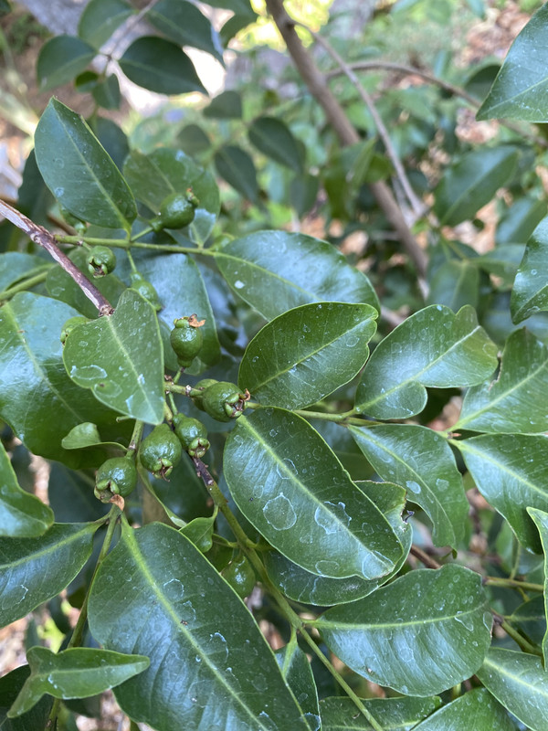 0D055F76-C7AB-40DF-BE90-C752344E90A0