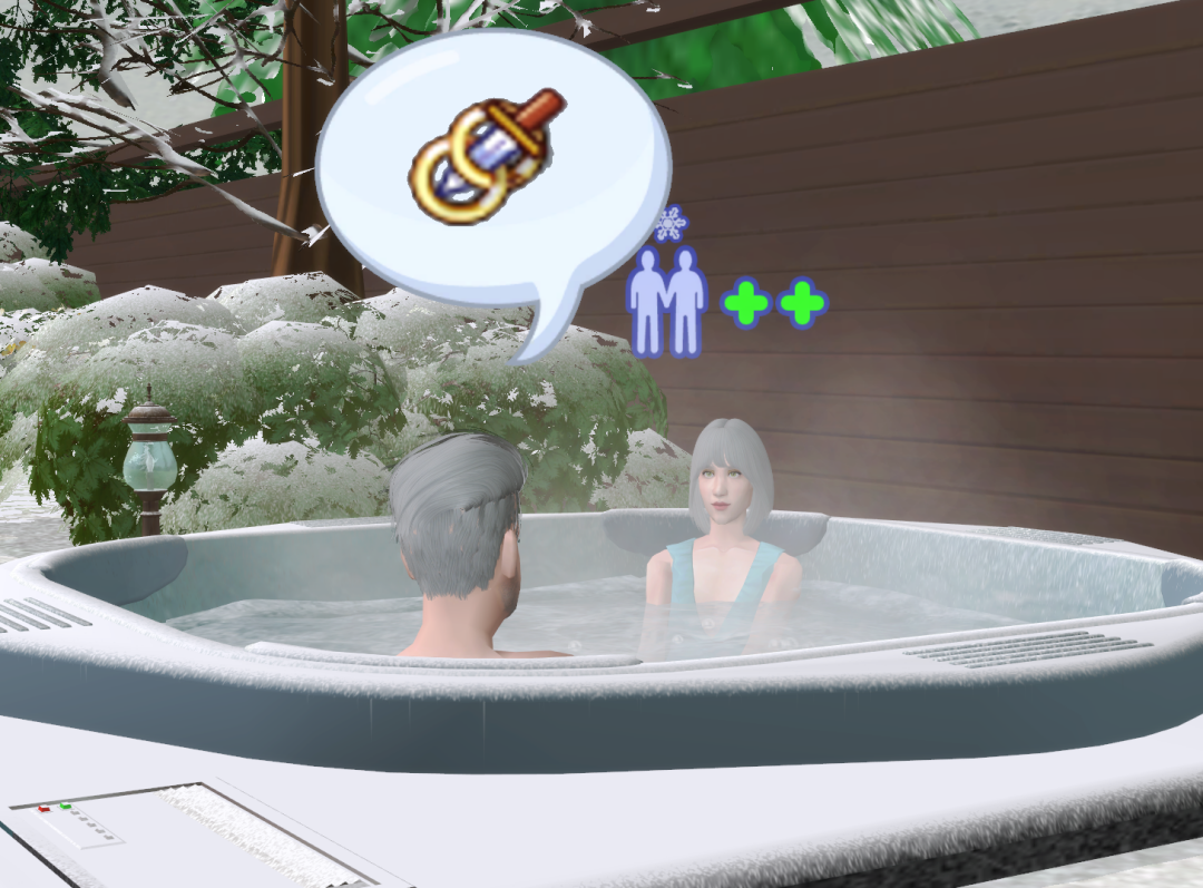 Sims2-EP9-RPC-2024-12-09-15-48-05-66