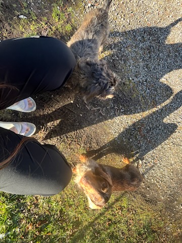 [Image: IMG-20250318-091524.jpg]