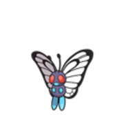 butterfree