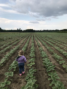 8D121606-65F5-43A6-B8A8-FDA4D3070895