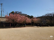 photo 31 2025 12 17 21 28 21