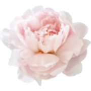 tumblr-c31469d358b422fe9a4f12de32a18dfa-ec7fa1c6-250