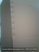 carton-mohammad (100)