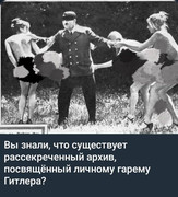 https://i.postimg.cc/187QNKg5/photo-2026-05-17-05-47-49.jpg