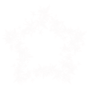 Star1