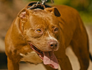 Screenshot_20230710_170314_Gallery