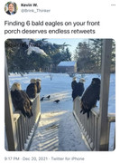 15cfbbb50cd34681eef8776590b87d685dbc4a200b89d5624363ef2dbf226327