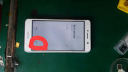 59872055-2663956633631843-2823203705854099456-n