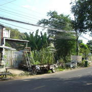 photo 2 2025 12 24 16 31 33