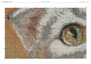 2889545-crosti-ru-color-7