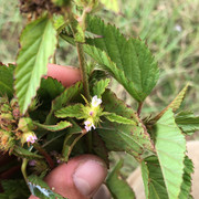 5C4E50F0-527E-497C-A808-B73093BEDE46