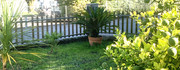 IMG-4601