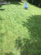 1D0E4C47-CC2F-4E19-9EAD-AC35C931E790