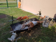Slika