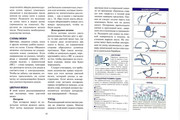 pledy-i-odejal-ca-7