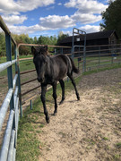 1-DDD3-F9-C-8-B0-A-4-CBB-A2-B3-470-DC13-EF14-C