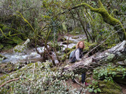 IMG-20260131-122000485-HDR