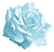 WINTER-LOVE-DBJ-ELEM-16