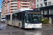 IMG-3061