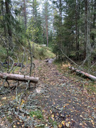 [Linket bilde fra i.postimg.cc]