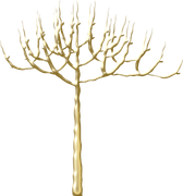 Christmasswishoffairydntree