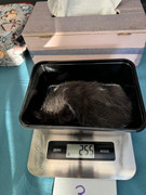 Afbeelding van WhatsApp op 2024-06-24 om 20.37.53_58231280