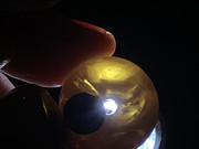 4736E8DC-ABC8-4CD6-9F6A-1898655F1C1C