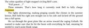 IMG-1234