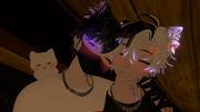 Imagen-16