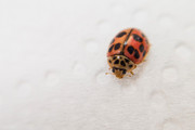 IMG-20190423-165242
